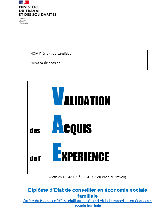 DOSSIER VALIDATION DECESF EXEMPLE